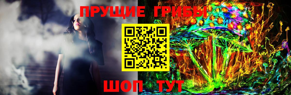 Псилоцибиновые грибы Psilocybine cubensis Приморско-Ахтарск
