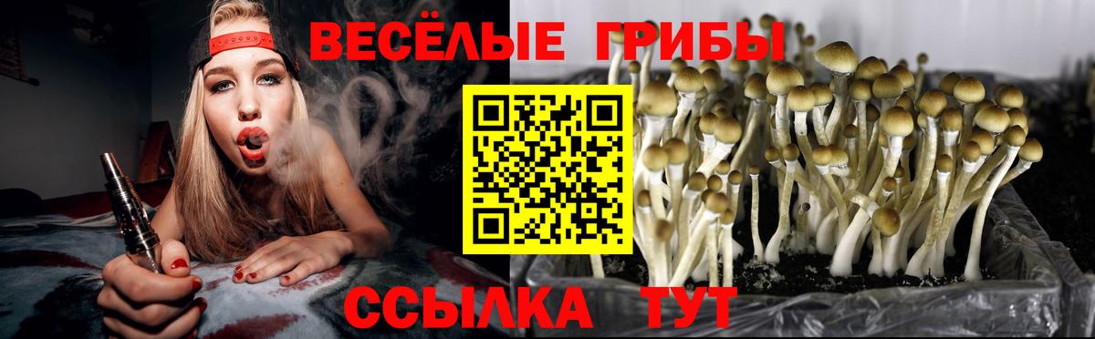 купить  цена  Галлюциногенные грибы Magic Shrooms  Вход с VPN  Приморско-Ахтарск 